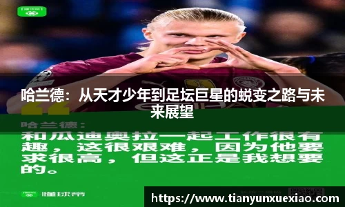 哈兰德：从天才少年到足坛巨星的蜕变之路与未来展望