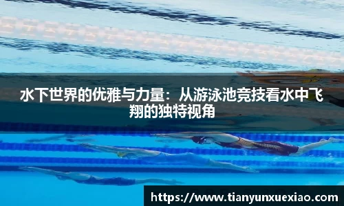 水下世界的优雅与力量：从游泳池竞技看水中飞翔的独特视角