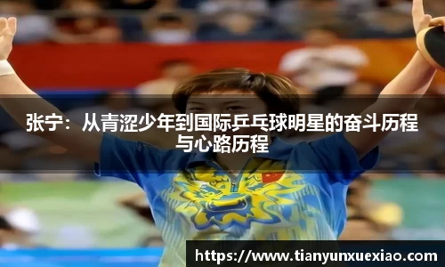 必一·体育(BSports)